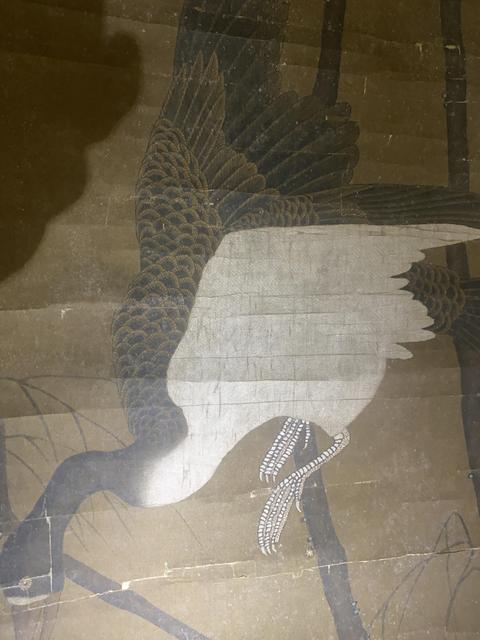 古玩字畫群雁圖真品鑒賞圖