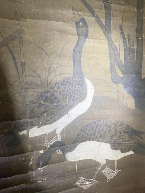 古玩字畫群雁圖真品鑒賞圖