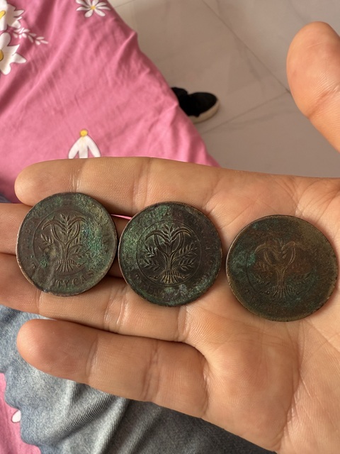 古玩錢幣湖南雙旗銅元真品鑒賞圖