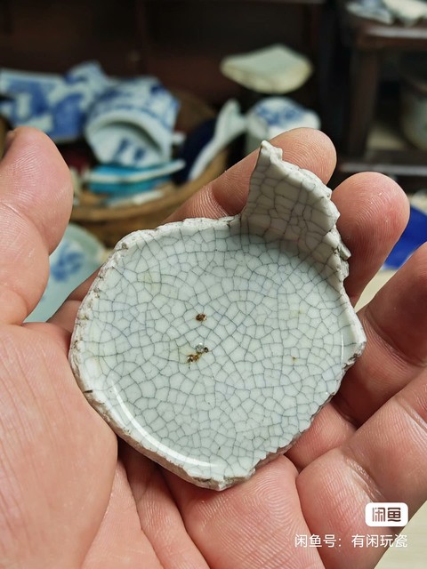 古玩陶瓷哥釉標本真品鑒賞圖