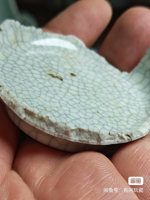 古玩陶瓷哥釉標本真品鑒賞圖