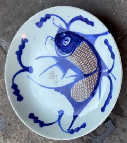 古玩陶瓷青花釉里紅魚藻紋盤真品鑒賞圖