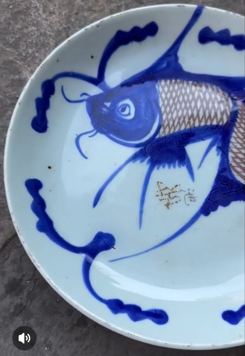 古玩陶瓷青花釉里紅魚藻紋盤真品鑒賞圖