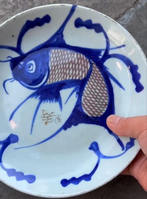 古玩陶瓷青花釉里紅魚藻紋盤真品鑒賞圖
