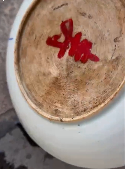 古玩陶瓷青花釉里紅魚藻紋盤真品鑒賞圖