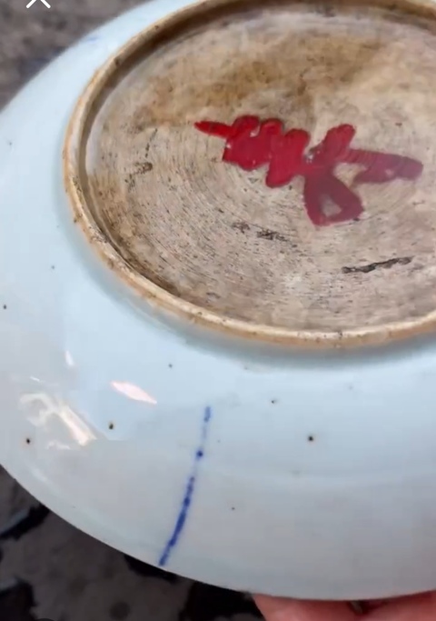 古玩陶瓷青花釉里紅魚藻紋盤真品鑒賞圖