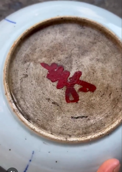 古玩陶瓷青花釉里紅魚藻紋盤真品鑒賞圖