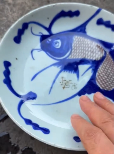 古玩陶瓷青花釉里紅魚藻紋盤真品鑒賞圖