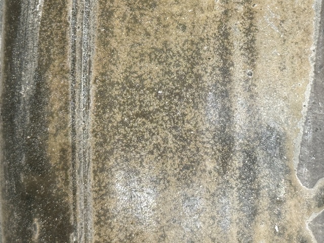 古玩陶瓷唐代青瓷缽真品鑒賞圖