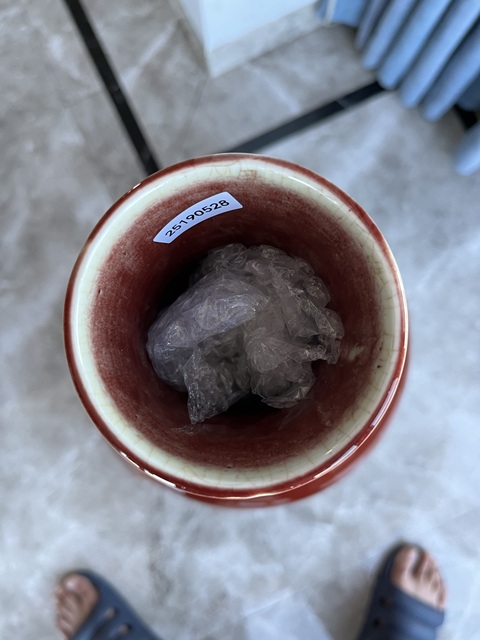 古玩陶瓷紅釉天球瓶真品鑒賞圖