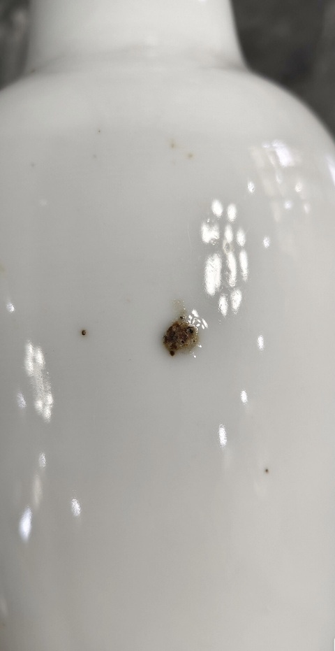 古玩陶瓷白釉瓶真品鑒賞圖