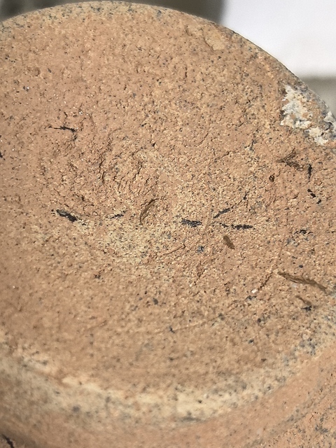 古玩陶瓷影青罐真品鑒賞圖