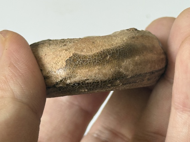 古玩陶瓷西周原始青瓷s紋水盂真品鑒賞圖