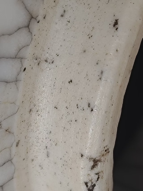 古玩陶瓷哥釉冬瓜罐真品鑒賞圖