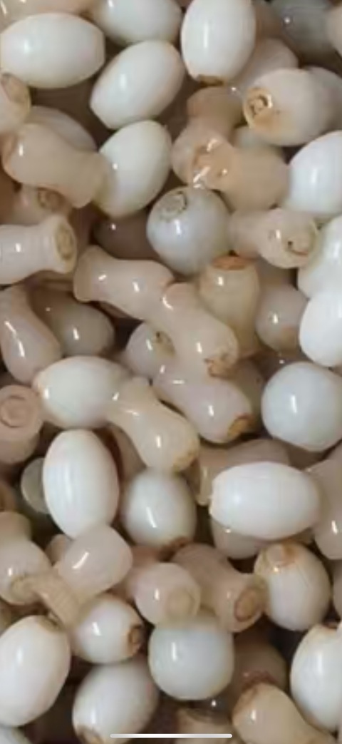 古玩玉器翡翠珠子真品鑒賞圖