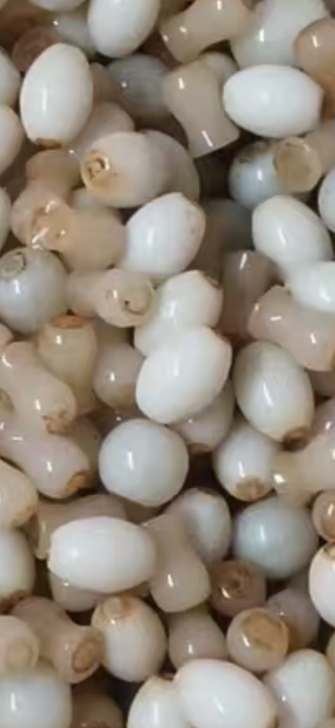 古玩玉器翡翠珠子真品鑒賞圖