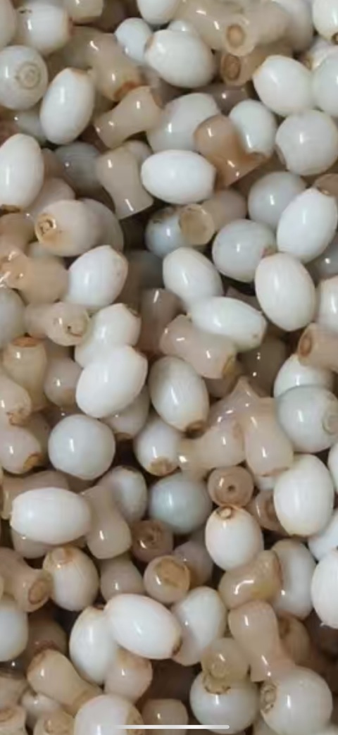 古玩玉器翡翠珠子真品鑒賞圖