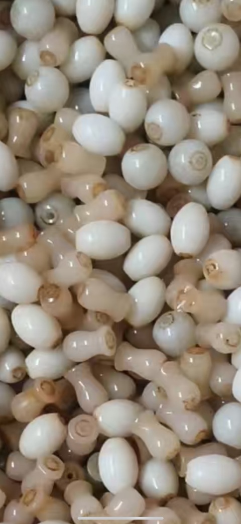 古玩玉器翡翠珠子真品鑒賞圖