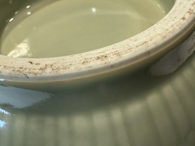 古玩陶瓷豆青釉燈籠瓶真品鑒賞圖