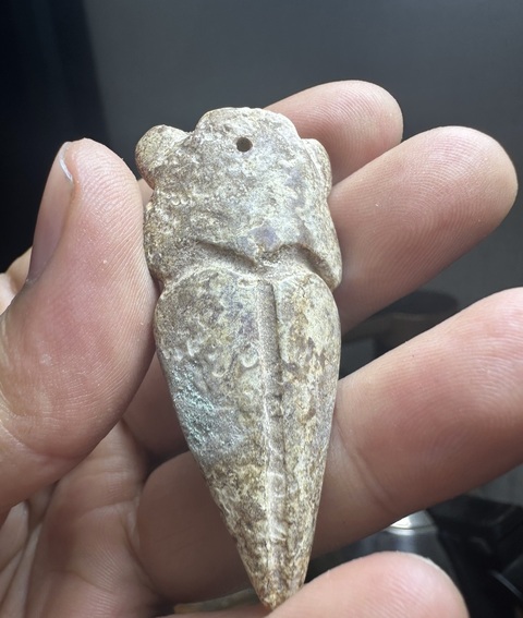 古玩玉器仿古做舊玉蟬型件真品鑒賞圖