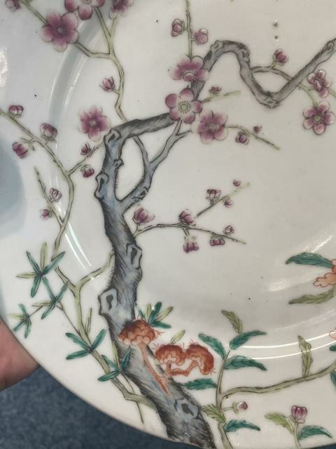 古玩陶瓷梅紋粉彩盤真品鑒賞圖