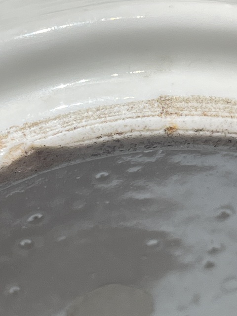 古玩陶瓷粉彩人物故事紋觀音瓶真品鑒賞圖