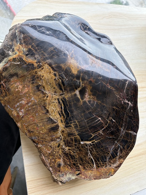 古玩玉器天然木化石真品鑒賞圖
