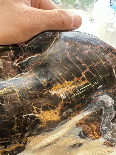 古玩玉器天然木化石真品鑒賞圖