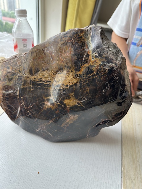 古玩玉器天然木化石真品鑒賞圖