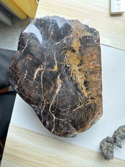 古玩玉器天然木化石真品鑒賞圖