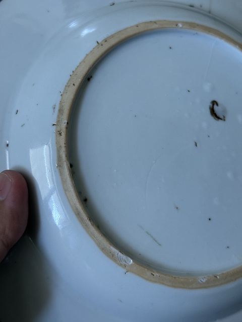 古玩陶瓷五彩描金魚藻紋盤真品鑒賞圖