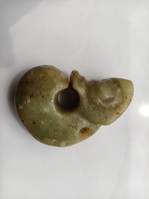 古玩玉器仿紅山玉龍型件真品鑒賞圖