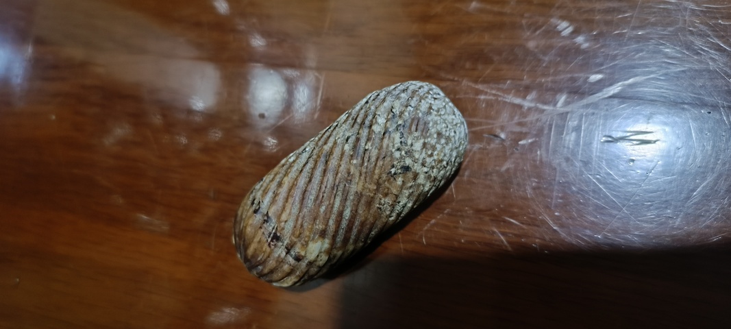 古玩玉器仿古做舊絞絲紋棗型珠真品鑒賞圖