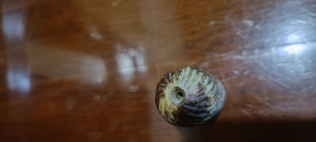 古玩玉器仿古做舊絞絲紋棗型珠真品鑒賞圖