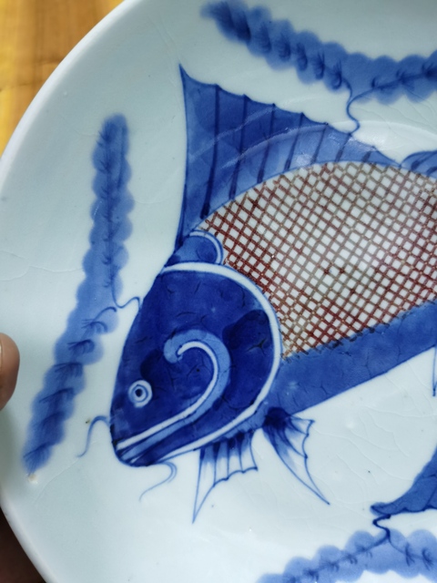 古玩陶瓷青花釉里紅魚藻紋盤真品鑒賞圖