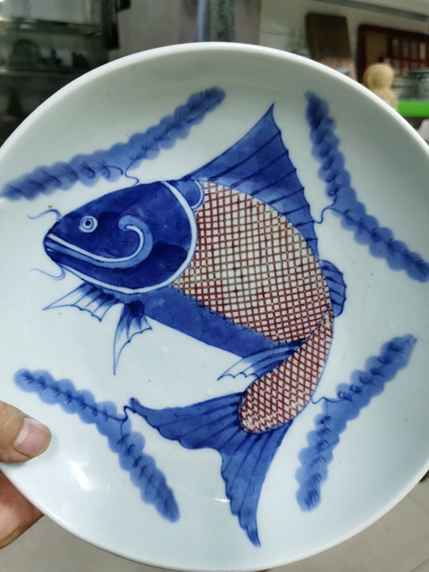 古玩陶瓷青花釉里紅魚藻紋盤真品鑒賞圖
