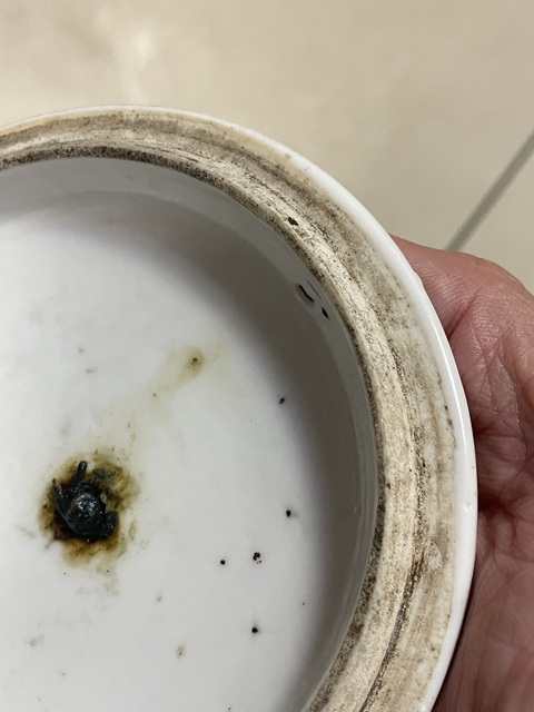 古玩陶瓷花卉紋粉彩蓋子真品鑒賞圖