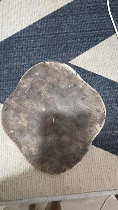 古玩陶瓷青花瓷板真品鑒賞圖