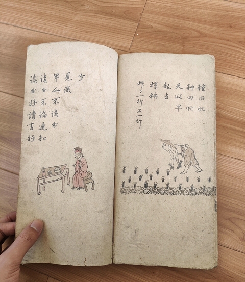 古玩字畫佚名畫冊真品鑒賞圖