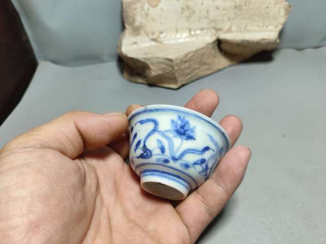 古玩陶瓷青花花卉紋標(biāo)本真品鑒賞圖