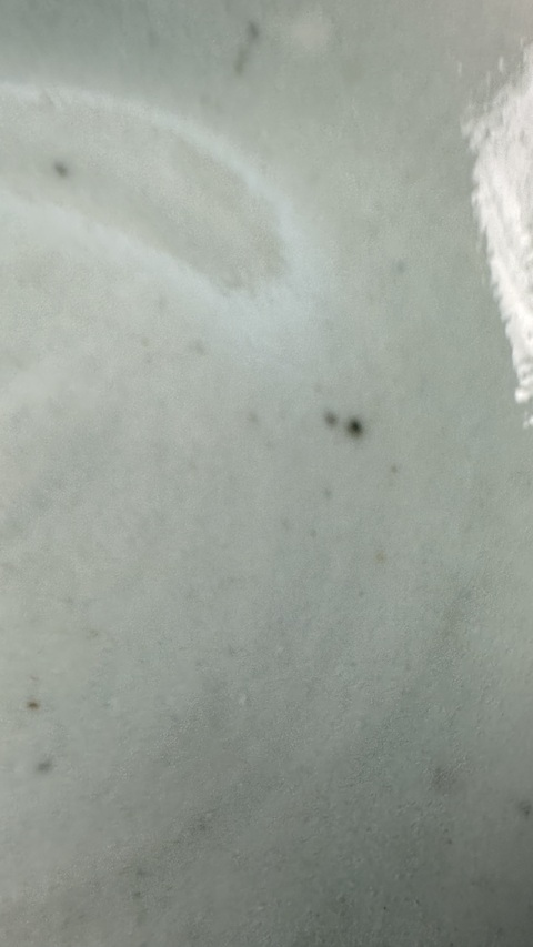 古玩陶瓷豆青釉盤真品鑒賞圖