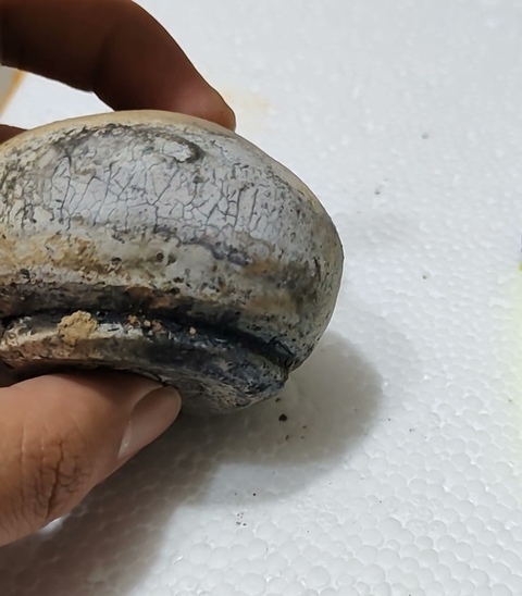 古玩陶瓷宣州窯青釉水盂真品鑒賞圖