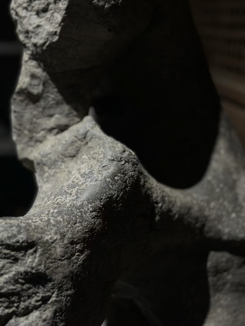 古玩雜項太湖石賞石真品鑒賞圖