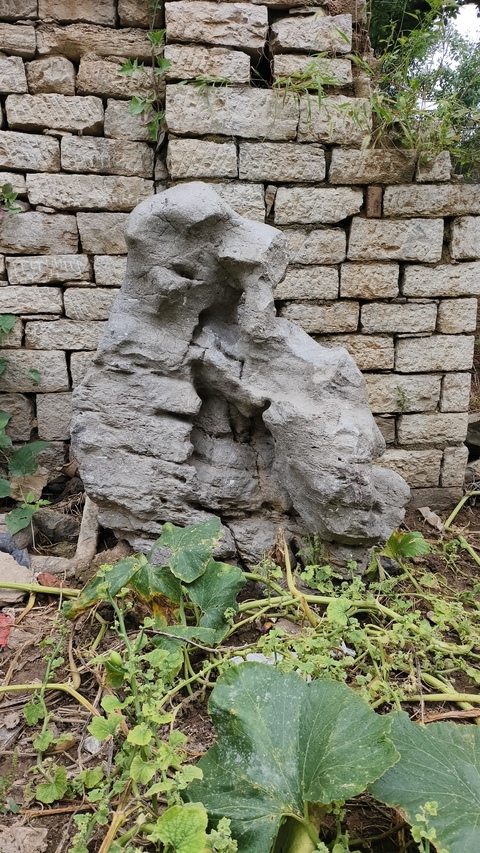 古玩雜項太湖石賞石真品鑒賞圖