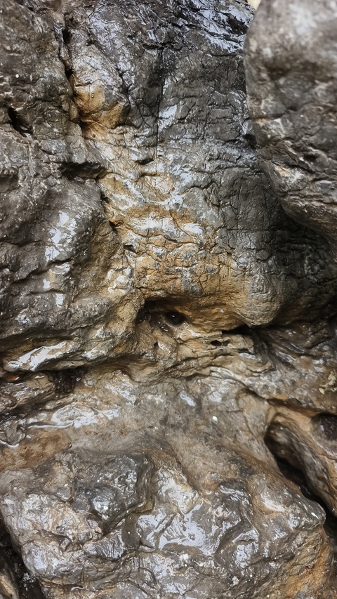 古玩雜項太湖石賞石真品鑒賞圖