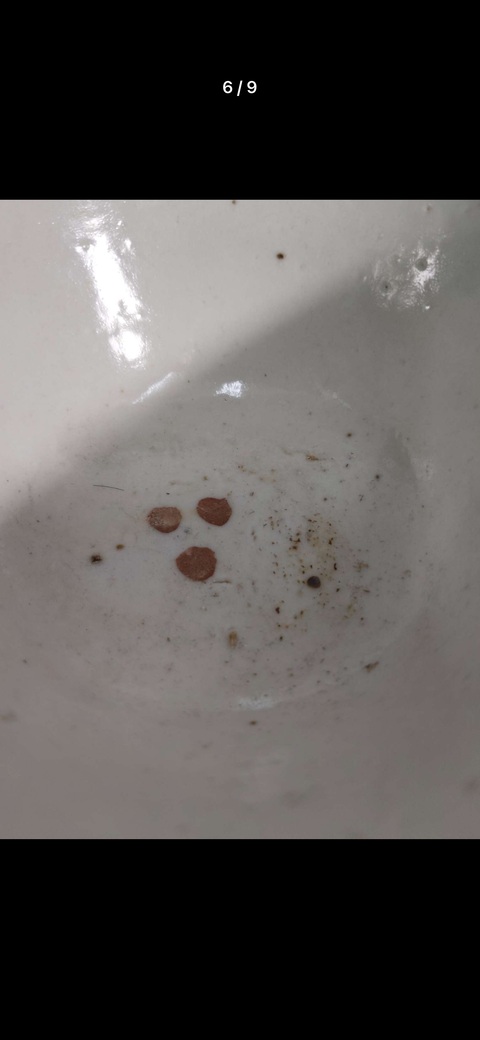 古玩陶瓷紅綠彩嬰戲圖茶碗真品鑒賞圖