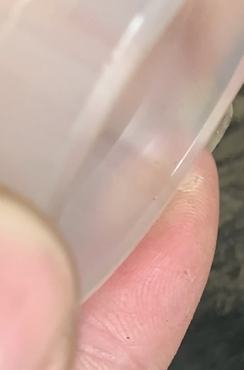 古玩玉器玉環真品鑒賞圖