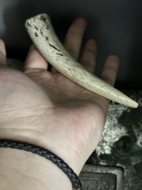 古玩雜項商周·鹿角觿拍賣,當前價格600元