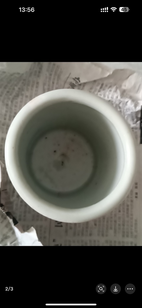 古玩陶瓷礬紅獅子筆筒真品鑒賞圖
