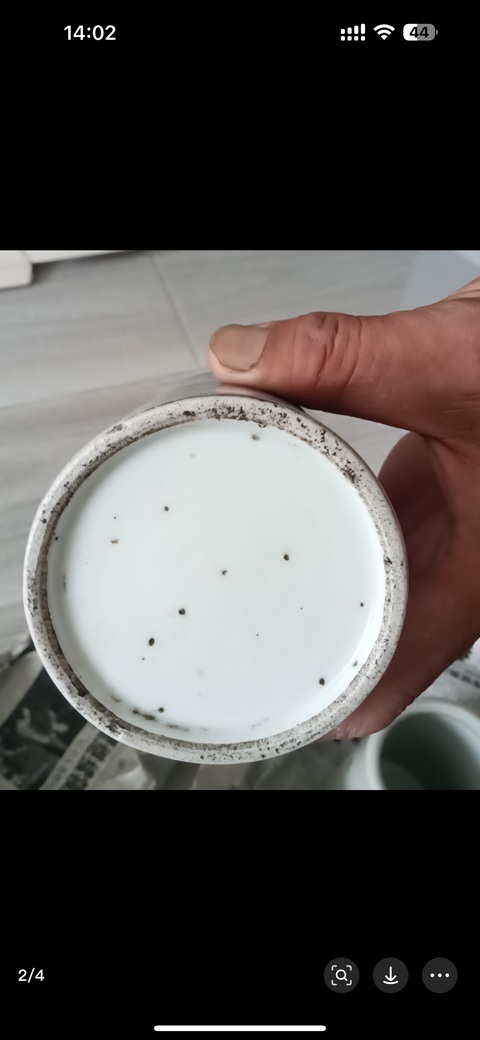 古玩陶瓷青花柳下雙駿圖筆筒真品鑒賞圖